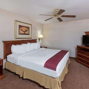 Executive One-Bedroom King Suite